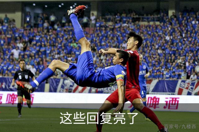 这些回复亮了